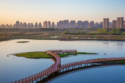晨光中的外滩湿地