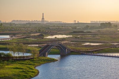 晨光中的外滩湿地