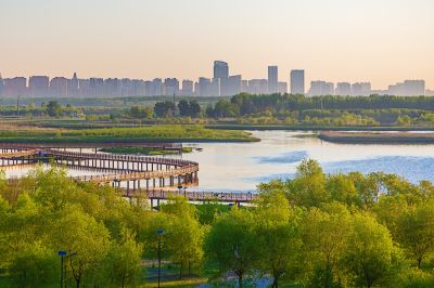 晨光中的外滩湿地