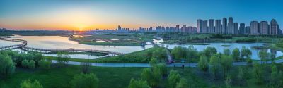 晨光中的外滩湿地1