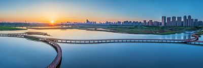 晨光中的外滩湿地1