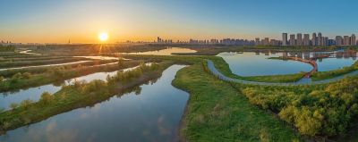 晨光中的外滩湿地1