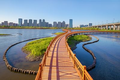晨光中的外滩湿地1