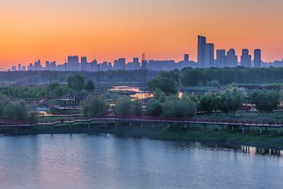 晨光中的外滩湿地1