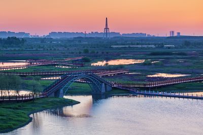 晨光中的外滩湿地1