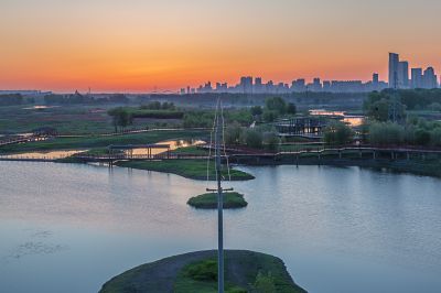 晨光中的外滩湿地1