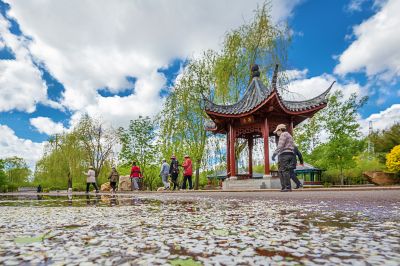 蓝天白云下的中国亭园1
