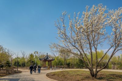 中国亭园好风光