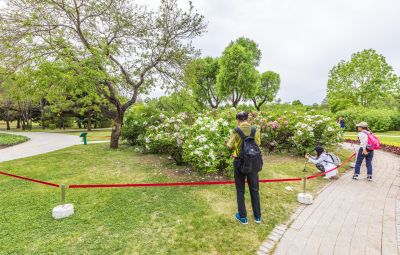 初夏太阳岛 