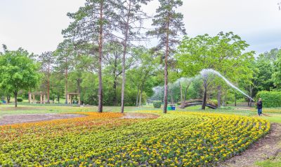初夏太阳岛 