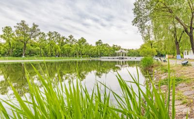 初夏太阳岛 