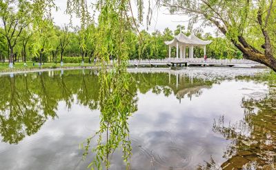 初夏太阳岛 