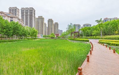松溪公园