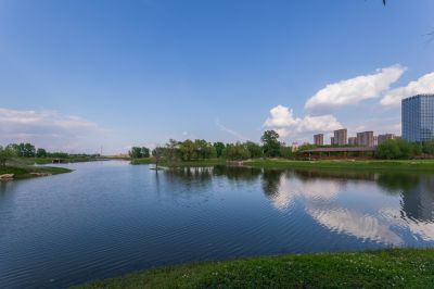 湿地公园