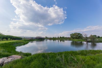 湿地公园