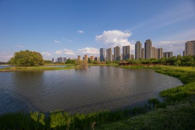 湿地公园
