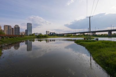 湿地公园