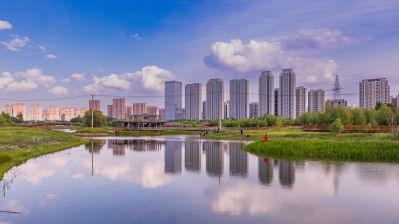 湿地公园