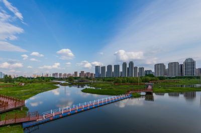 湿地公园