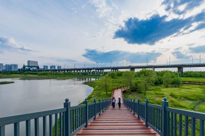 湿地公园