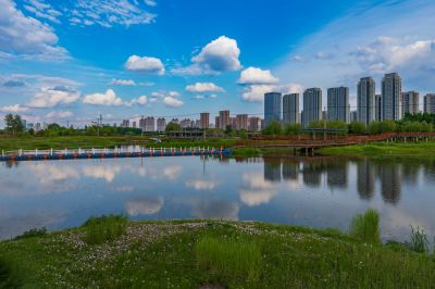 湿地公园