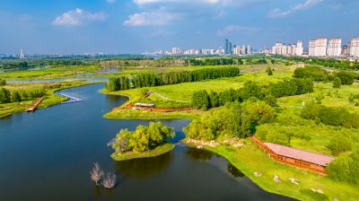阳明滩湿地公园