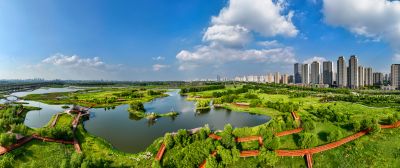 阳明滩湿地公园