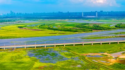 大亮子湿地