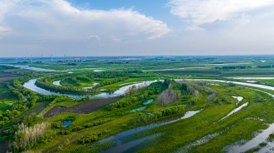 大亮子湿地
