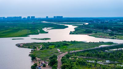 大亮子湿地