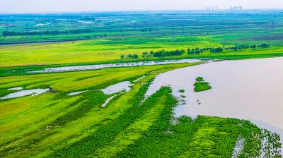 大亮子湿地