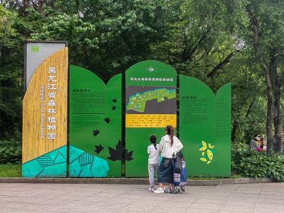 黑龙江省森林植物园