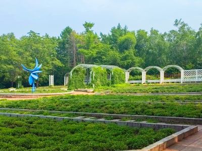 黑龙江省森林植物园
