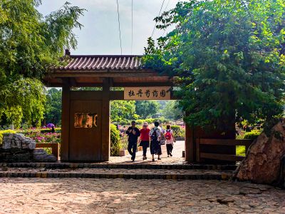 黑龙江省森林植物园