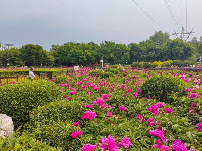 黑龙江省森林植物园