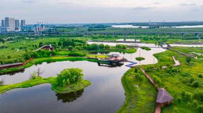 阳明滩湿地航拍