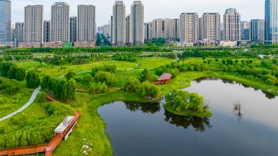 阳明滩湿地航拍