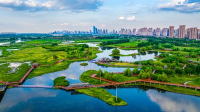 阳明滩湿地航拍