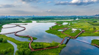 阳明滩湿地航拍