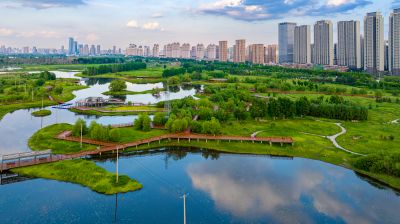 阳明滩湿地航拍