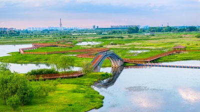 阳明滩湿地航拍