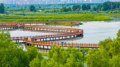 阳明滩湿地航拍