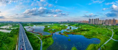 阳明滩湿地