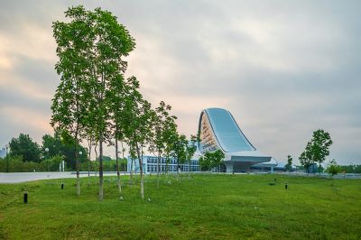 晨雾中的大剧院湿地2