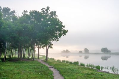 晨雾中的大剧院湿地2