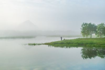 晨雾中的大剧院湿地2