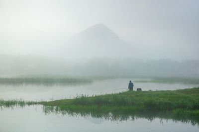 晨雾中的大剧院湿地2