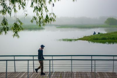 晨雾中的大剧院湿地2