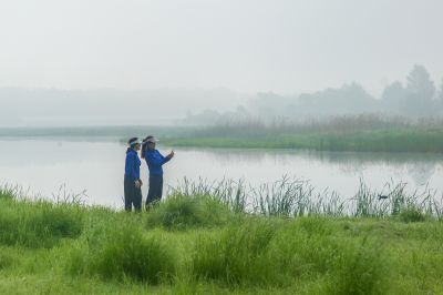 晨雾中的大剧院湿地2