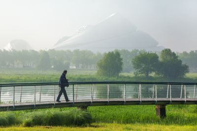 晨雾中的大剧院湿地2